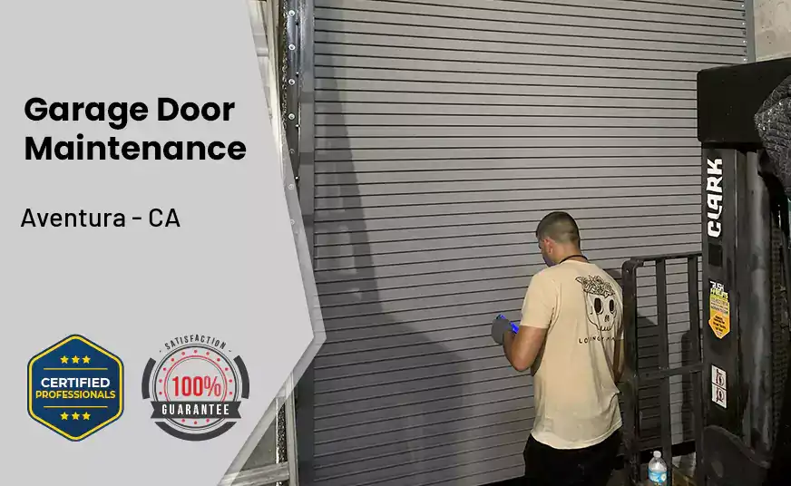Garage Door Maintenance Aventura - CA 